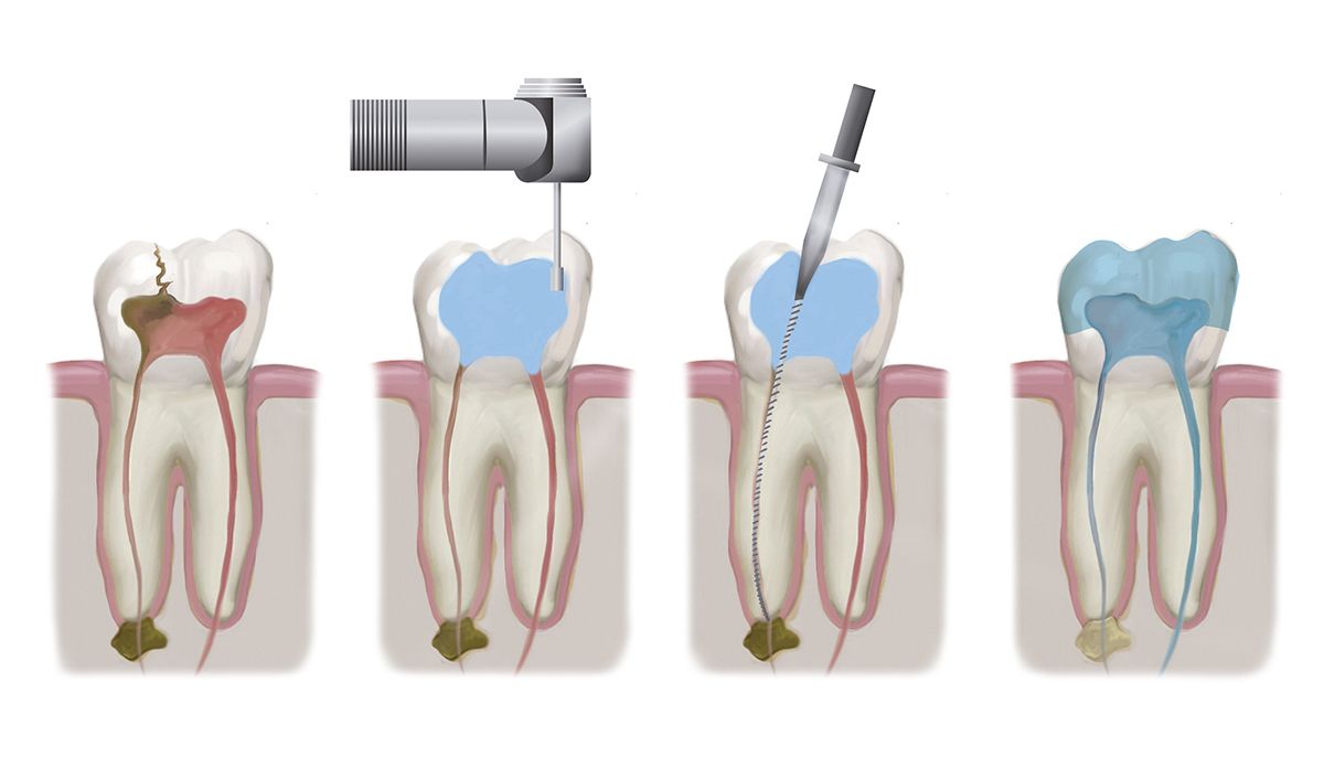Whole Life Dental Whole Life Dental