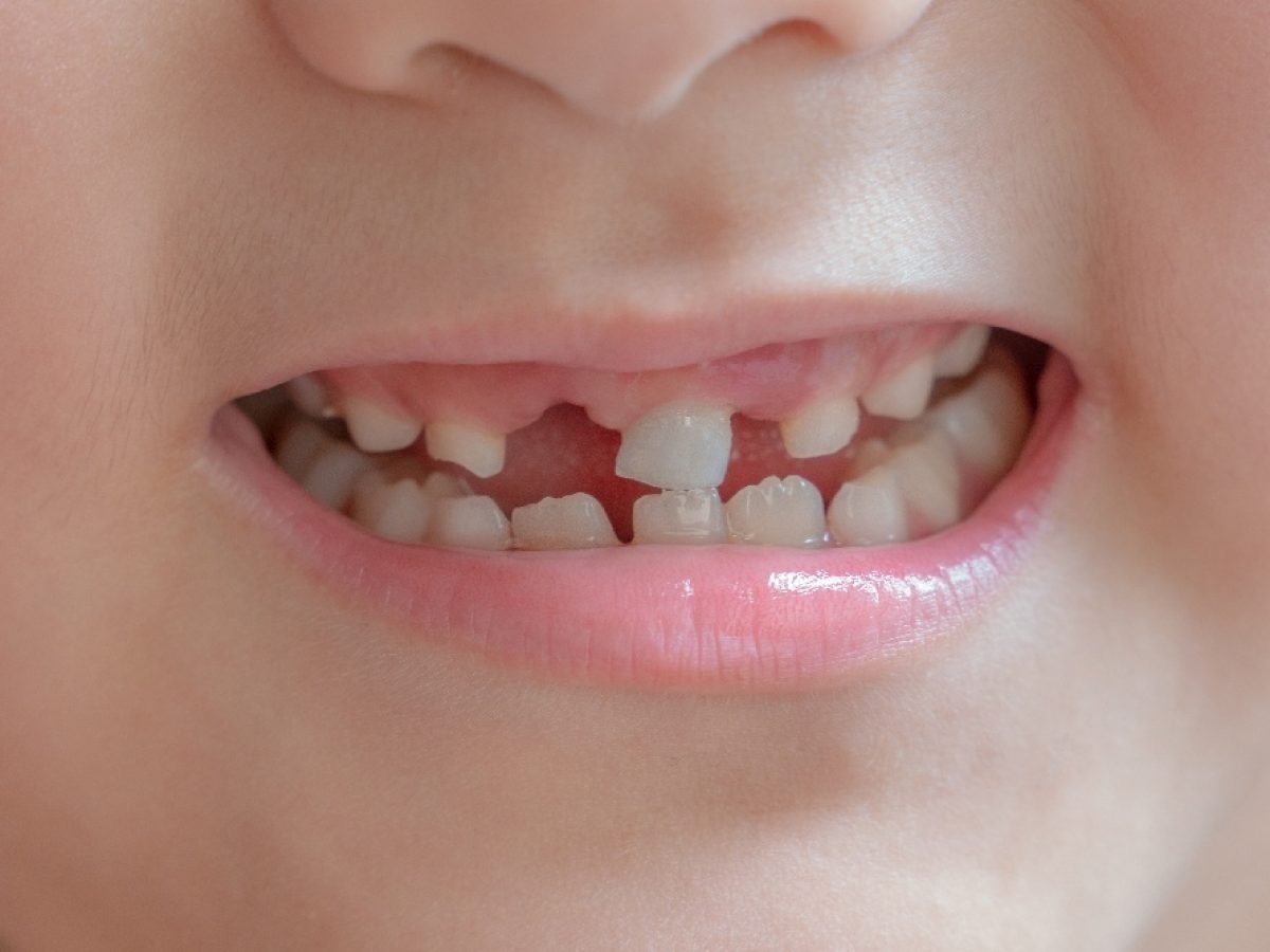 Whole Life Dental Whole Life Dental