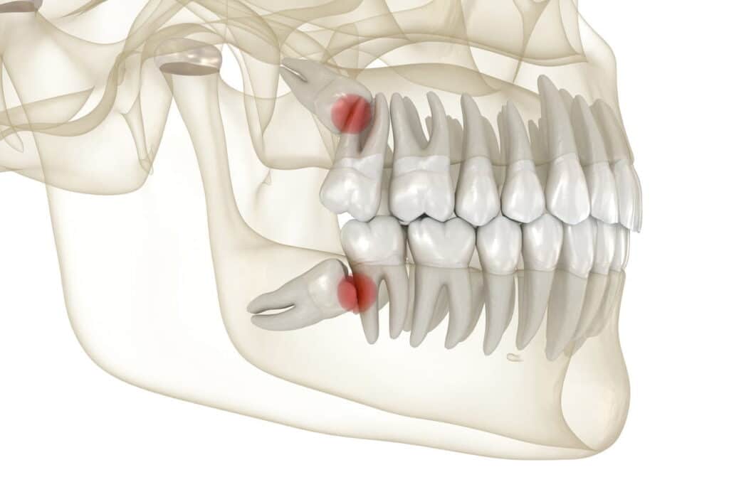 Whole Life Dental Whole Life Dental