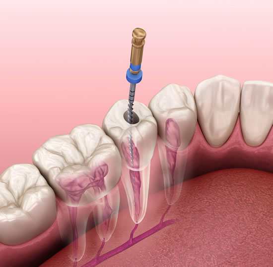Whole Life Dental Whole Life Dental