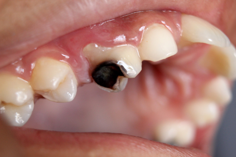 Whole Life Dental Whole Life Dental